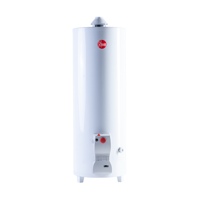 RHEEM - TERMO DE PIE RESIDENCIAL FUNCTIONAL X 120 LTS GN