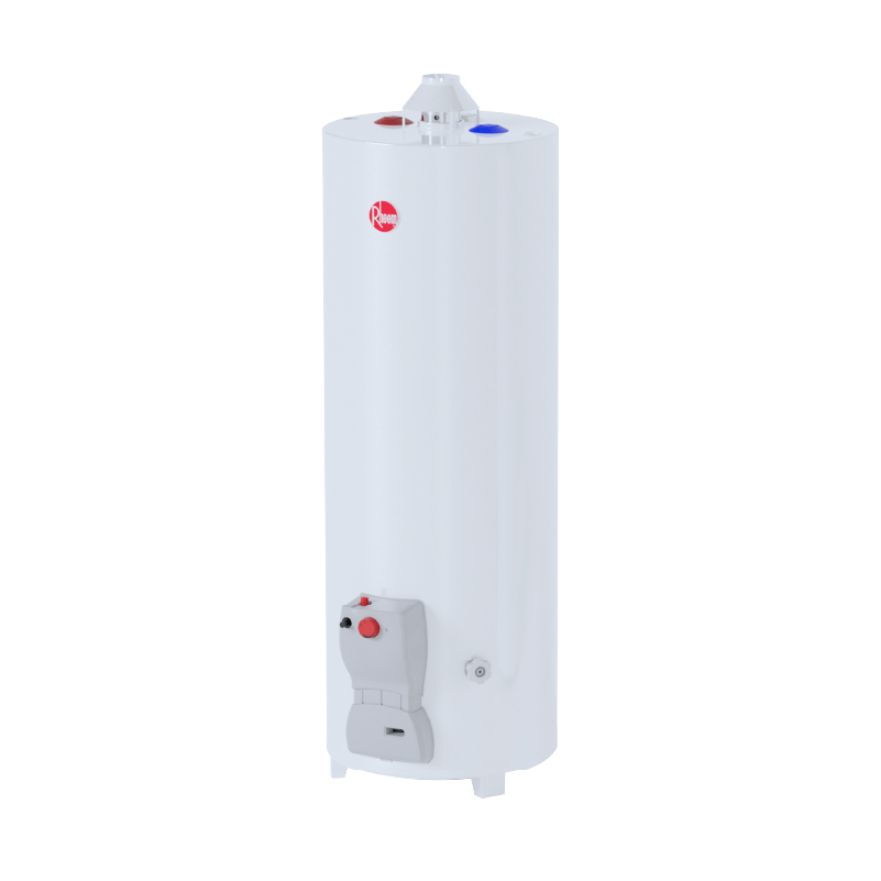 RHEEM - TERMO DE PIE RESIDENCIAL FUNCTIONAL X 120 LTS GN - Imagen 2